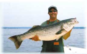 Striped Bass Charters