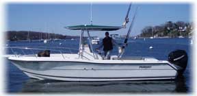 NY Fishing Charters